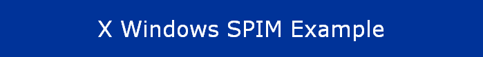  X Windows SPIM Example 