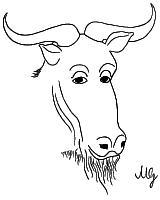  [image of a philosophical gnu] 